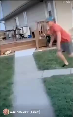 gggg